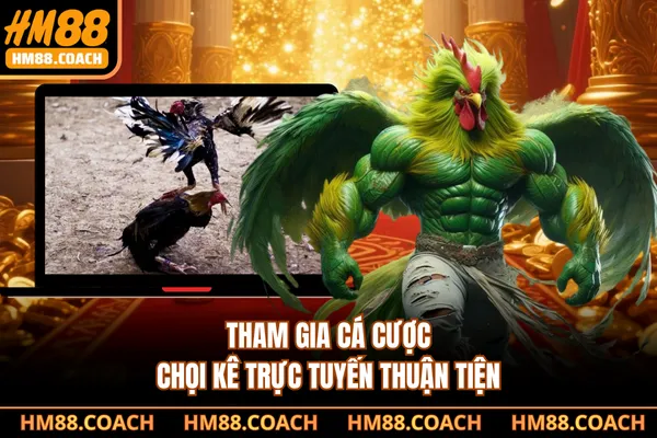 Tham gia cá cược chọi kê trực tuyến thuận tiện Tham gia cá cược chọi kê trực tuyến thuận tiện